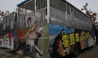 秦岭野生动物园高铁哪里下 秦岭野生动物园路线