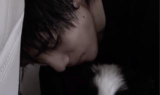 乖乖女是大明星插曲