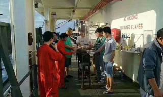 远洋货轮船员招聘