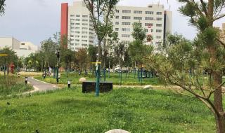 塔里木盆地石油和天然气资源哪个更丰富 塔里木发现石油