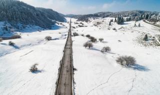 仙女山镇游玩攻略 仙女山攻略