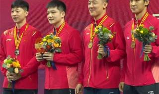 马龙樊振东王楚钦各拿多少个冠军 马龙3比0樊振东夺冠