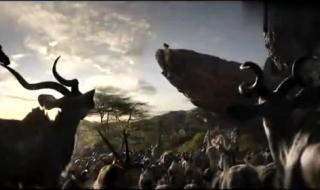 2019年暑期档前十电影 最新电影上映2019