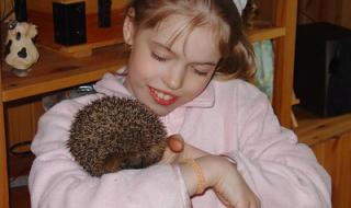 我的刺猬女孩大结局