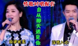 有一句歌词自从遇见你的那天起,我的心就不 自从遇见你的那天起